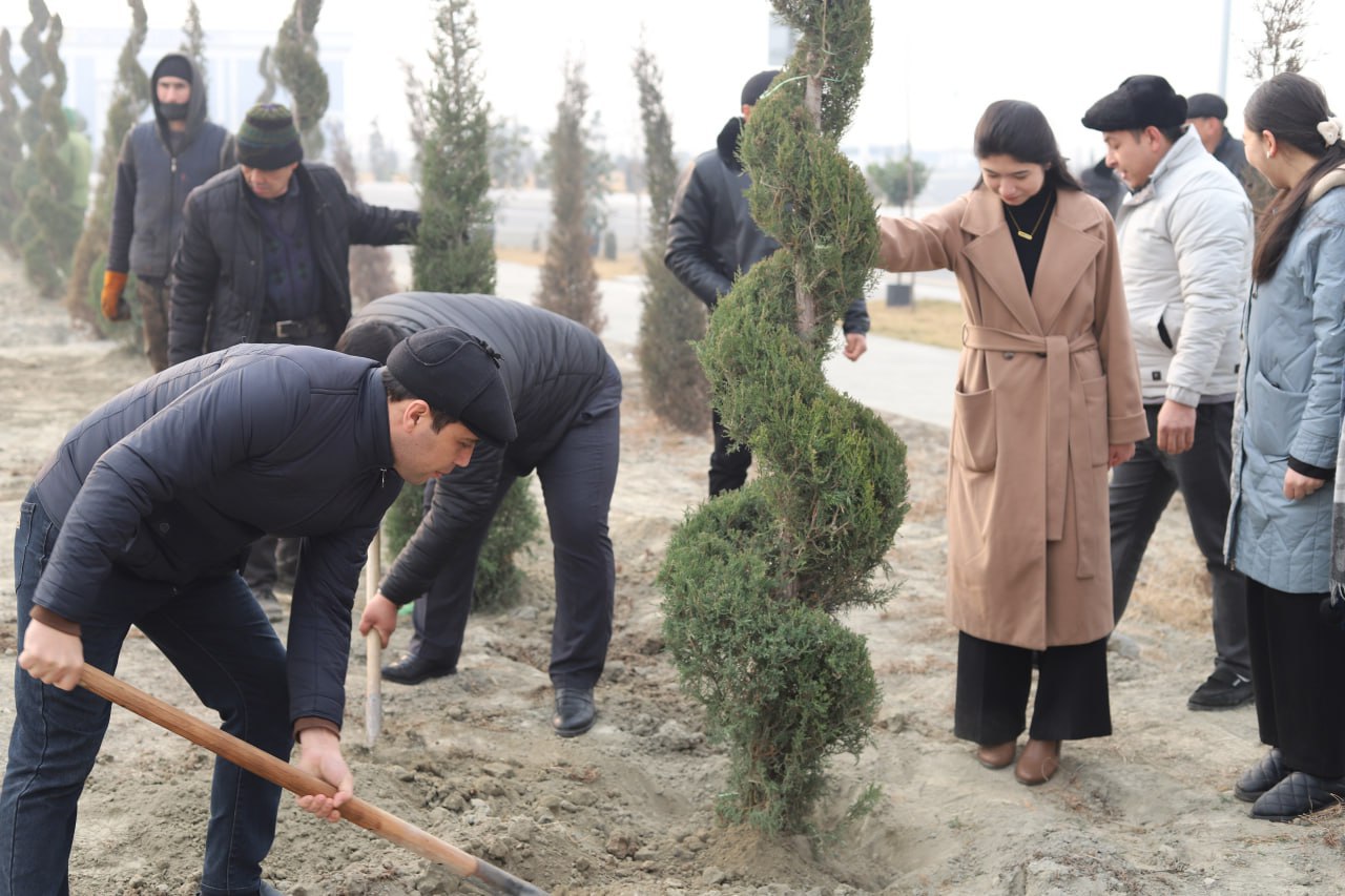 Yashil universitet faoliyati